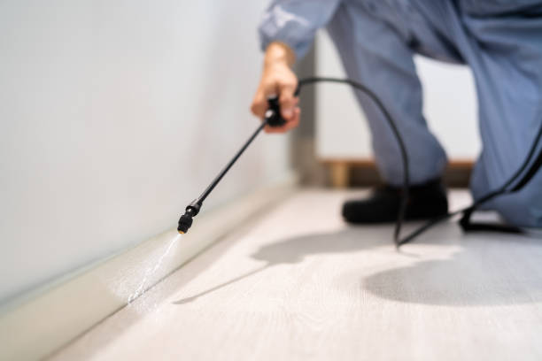 Licensed Pest Control service in Crow Agency, MT - Show Me Pest Control
